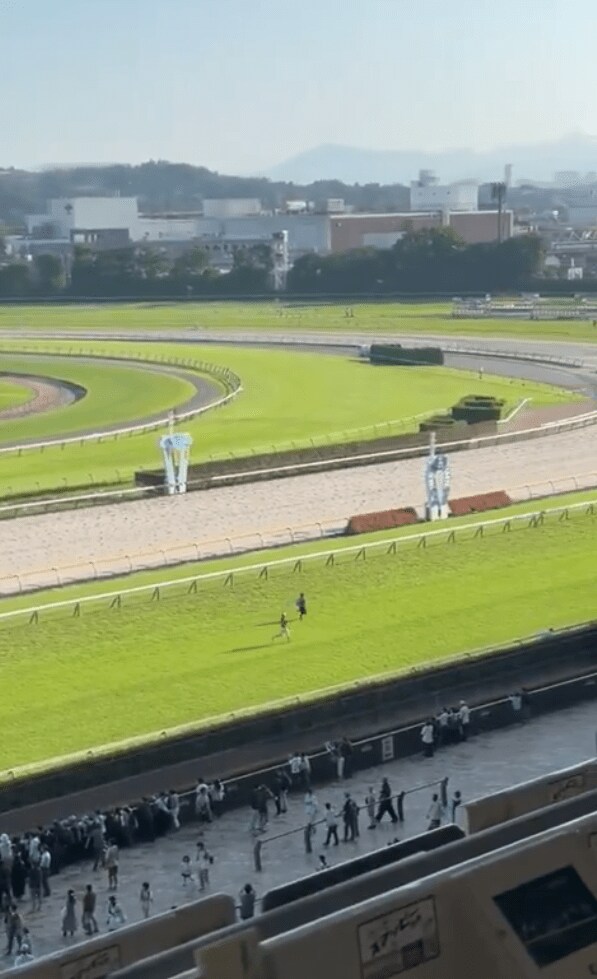 出所：@haru_keiba_win