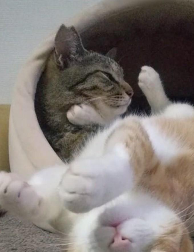 出所：@mero627puri914