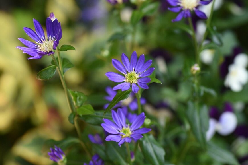 undefined undefined/istockphoto.com