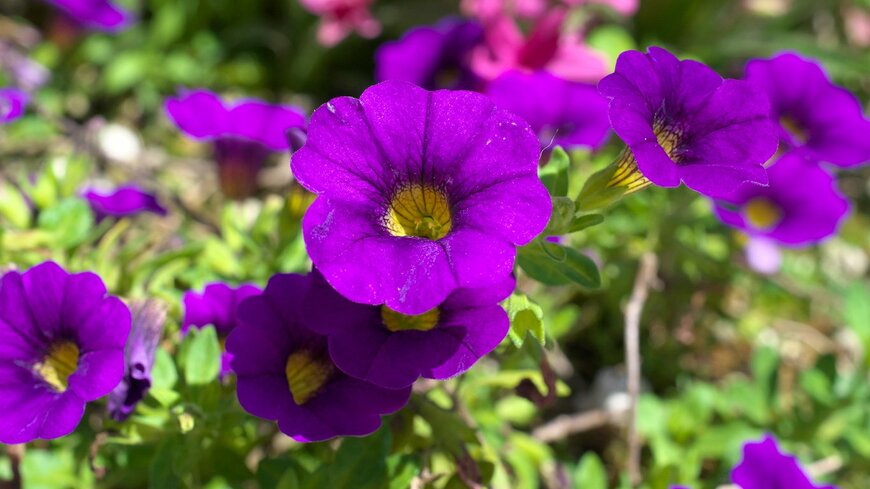 Aoka/istockphoto.com