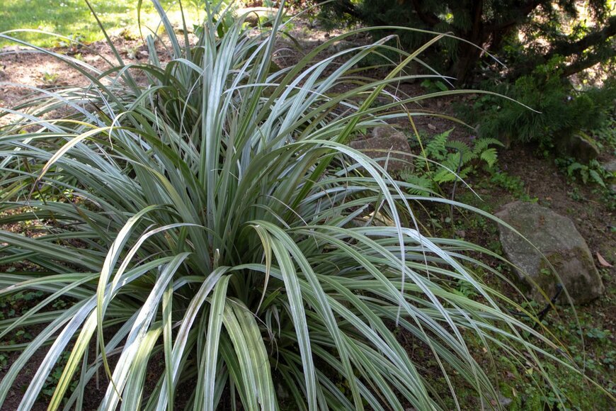 Svetlana Zhukova/shutterstock.com