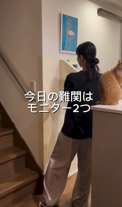 出所：@urishima_home