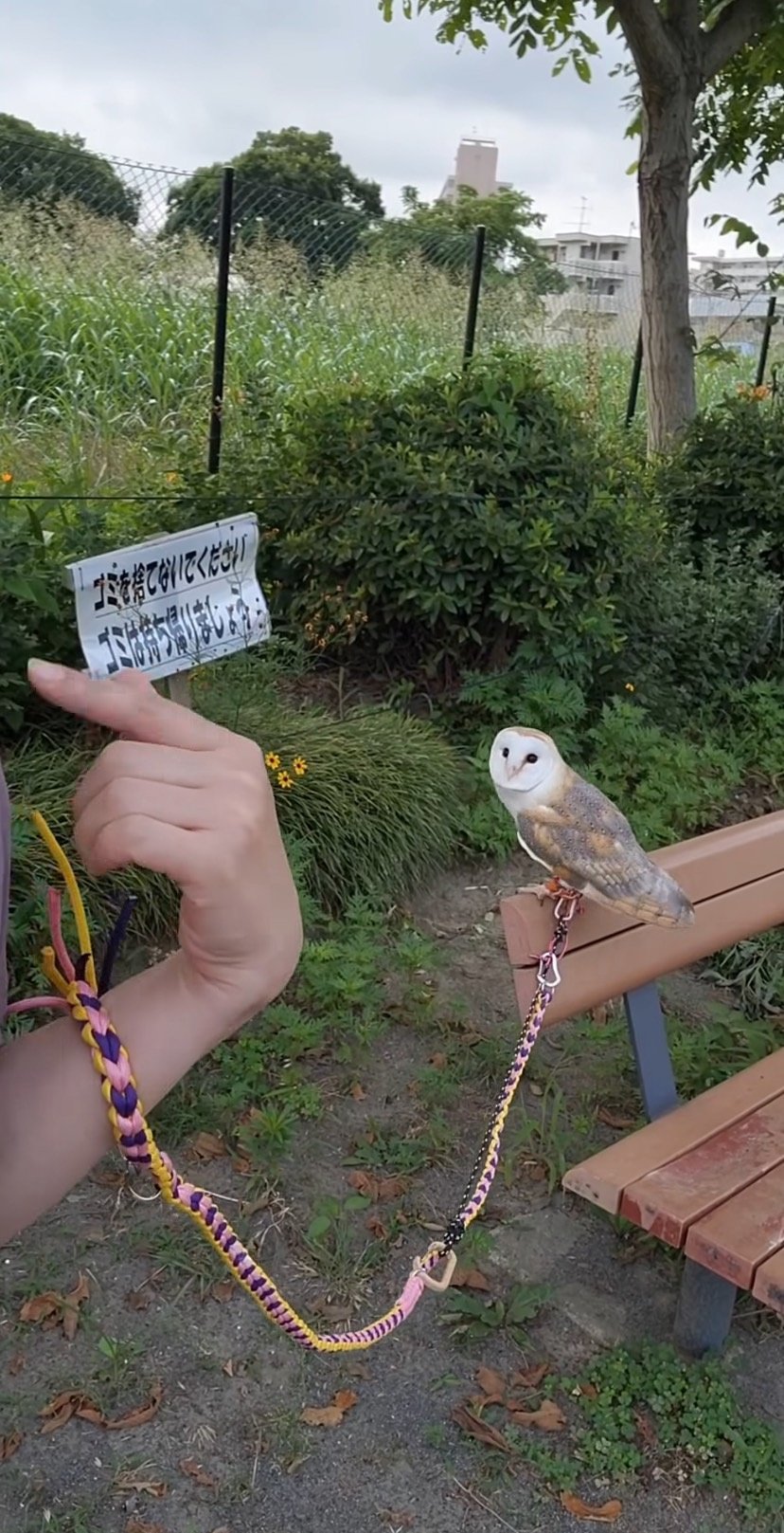 出所：@miki4wan108