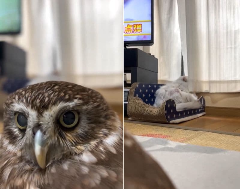 出所：@cr8673.hiro