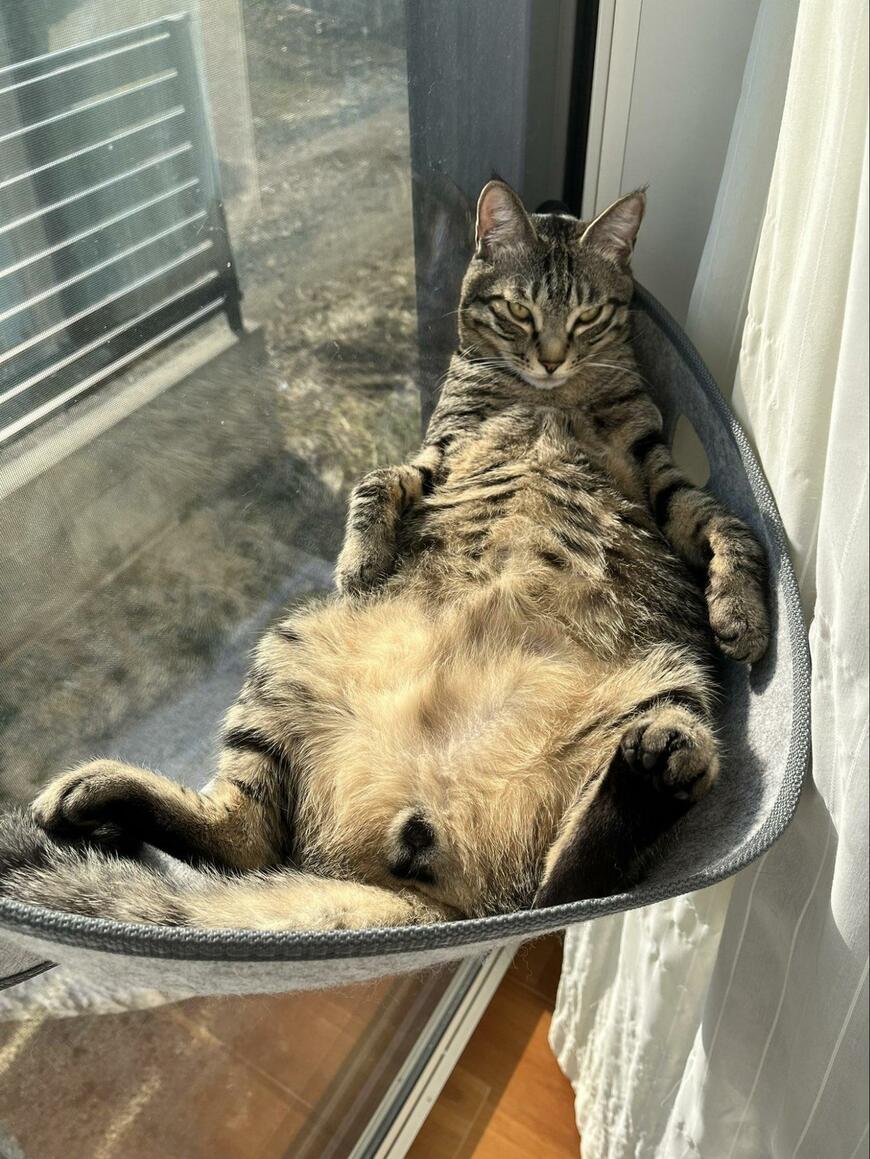 出所：@kagisuzu0531