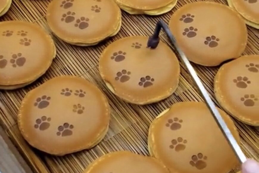 和菓子職人が作った「猫の足跡」がつけられたどら焼き　かわいすぎるデザインにうっとり