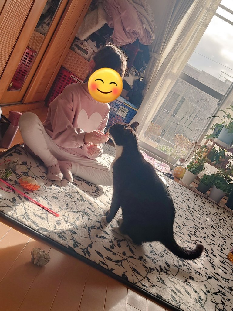 猫と遊んでいる様子