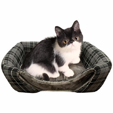 しまむら、ペット用ベッド画像