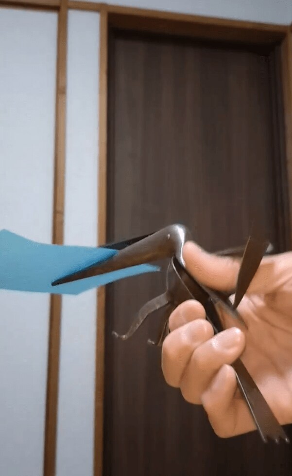 鳥の形をしたハサミ