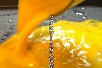 【元料理人の父】早朝から「高校生の娘」に作る愛情弁当　友達からも注目を集めそうな弁当に驚き