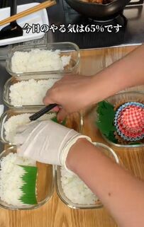 【主婦のやる気65％弁当】梅肉大葉豚巻き×鮭のW主役に「完ぺきですね」と称賛の声