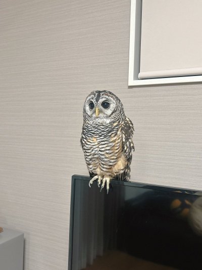 投稿写真のワンシーン