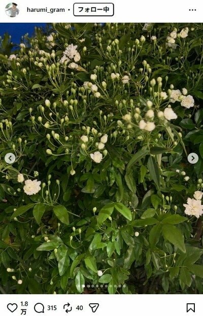 栗原はるみのInstagram投稿