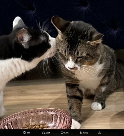 藤あや子のInstagram投稿