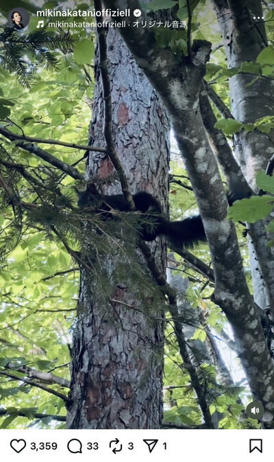 中谷美紀のInstagram投稿