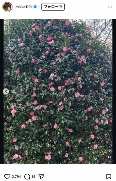 矢野未希子のInstagram投稿