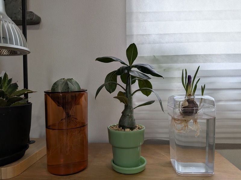 セリア　ガラス風ポット