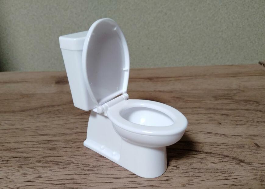 筆者撮影（セリア、ミニチュア 洋式トイレ）