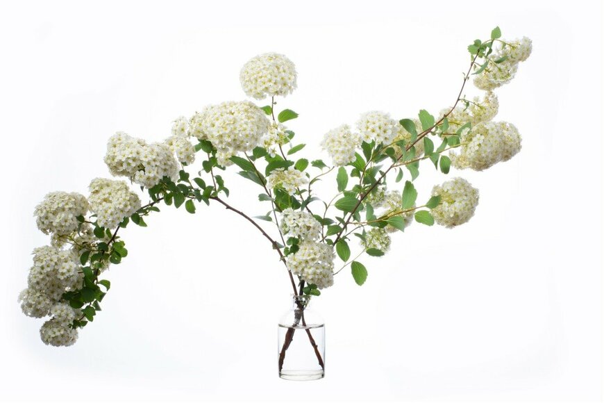 Viktor_AL/istockphoto.com