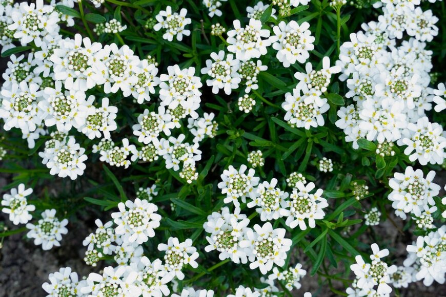 Wirestock Creators/shutterstock.com