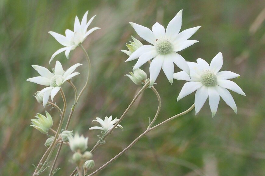 John Porter/istockphoto.com