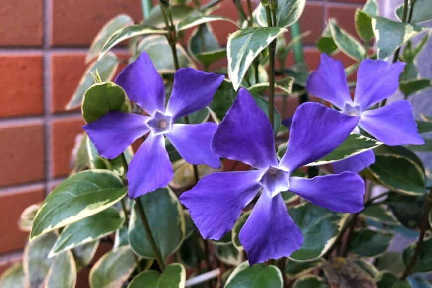 Nokzd/shutterstock.com