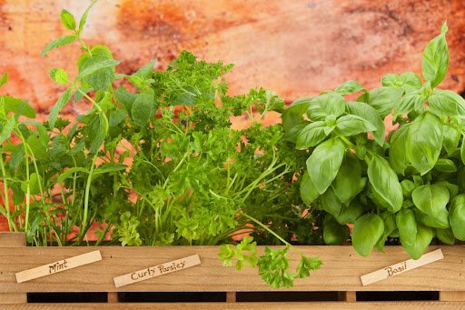 Remus Moise/shutterstock.com