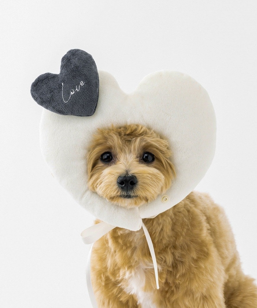 画像出所：3COINS公式オンラインストア