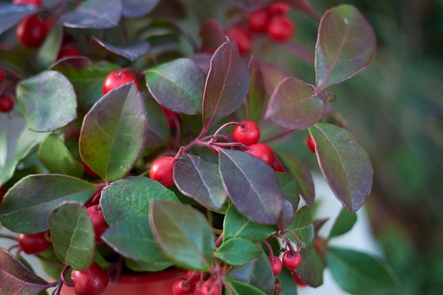 seven75/istockphoto.com