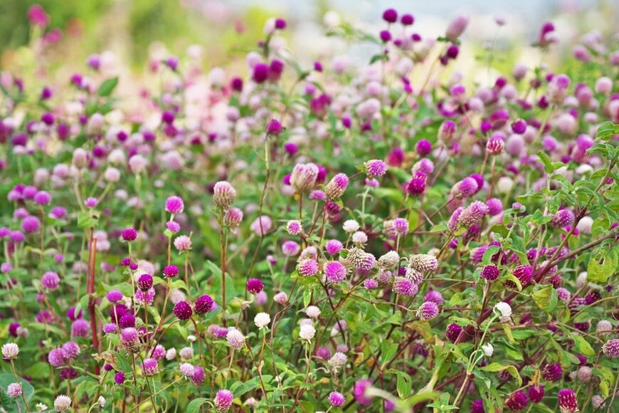 igaguri_1/istockphoto.com