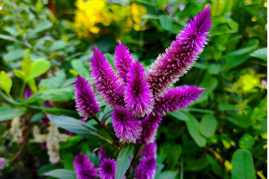 Hanna Yohanna/istockphoto.com