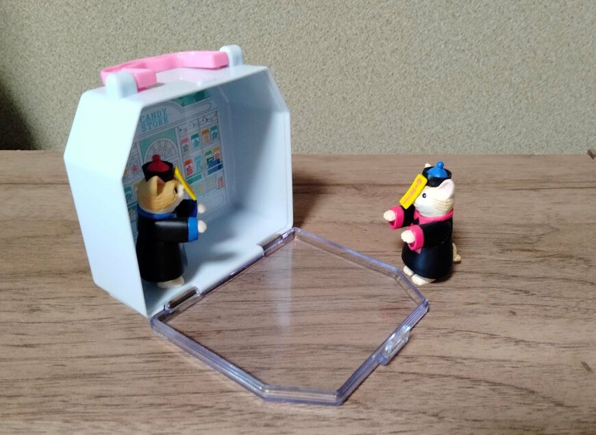 筆者撮影（セリア、おうち型ケース スイーツショップ）