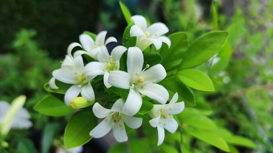 sulistianto/istockphoto.com 