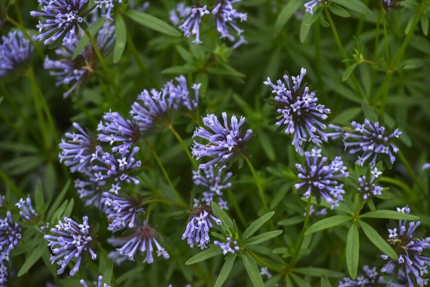 Orthosie/istockphoto.com