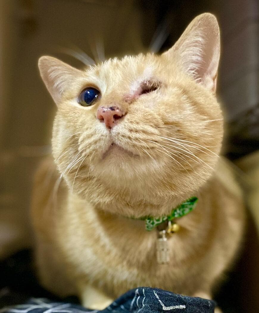 出所：@luna7taka9 