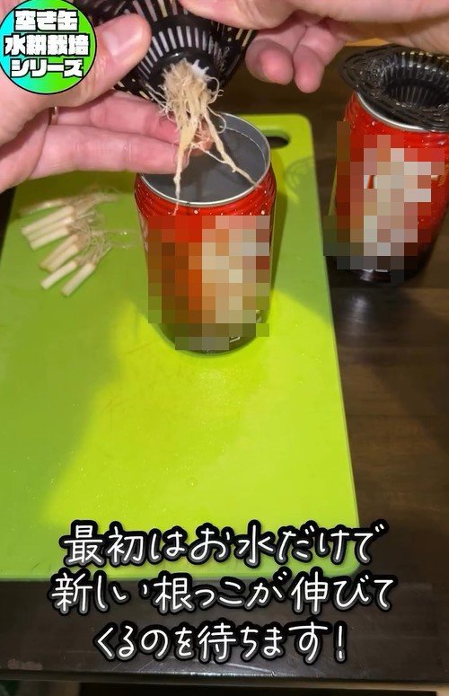 出所：mikanbo_ya19_87