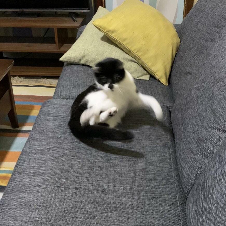 出所：@00shitemita