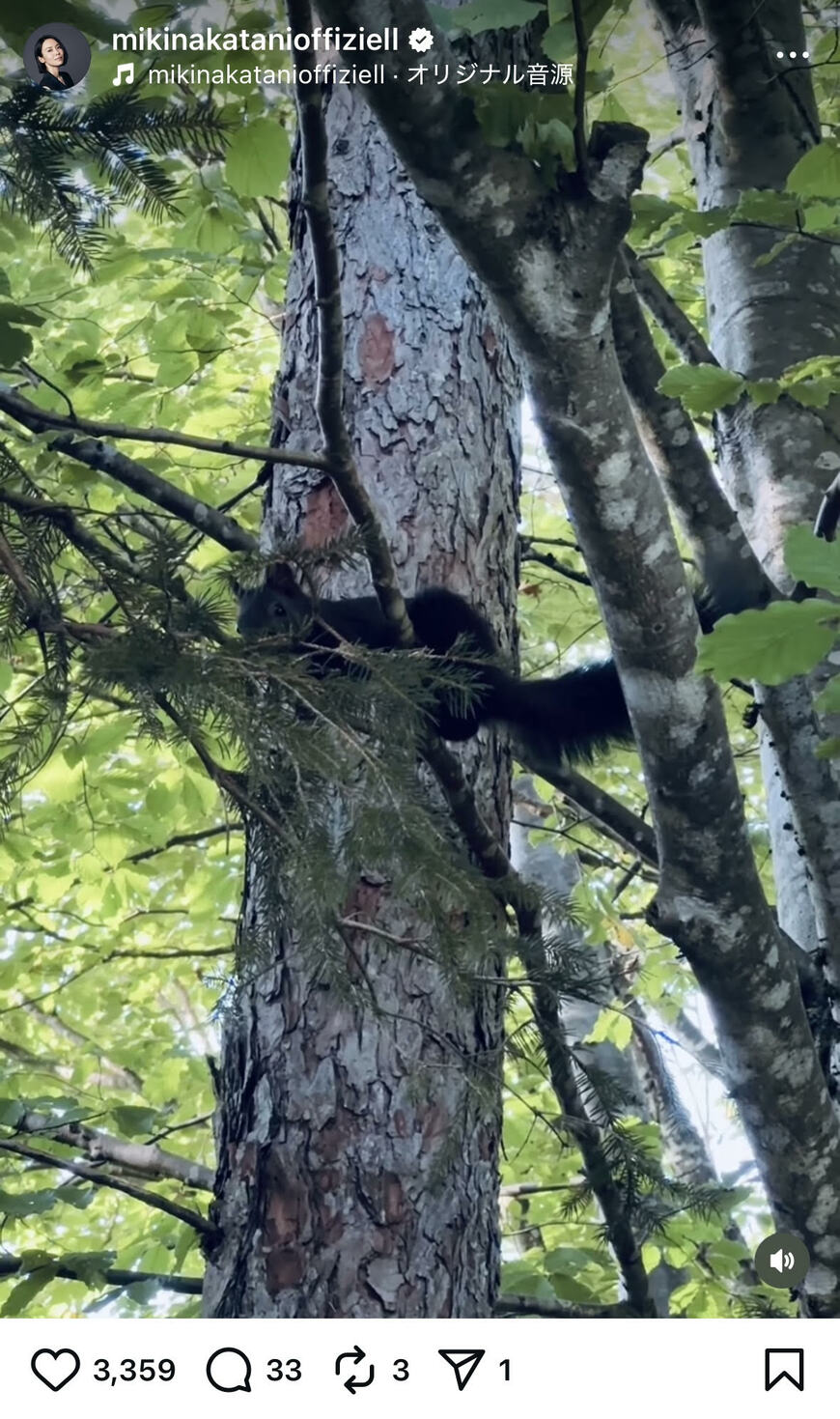 出所：中谷美紀のInstagram　参照日：2025年9月2日