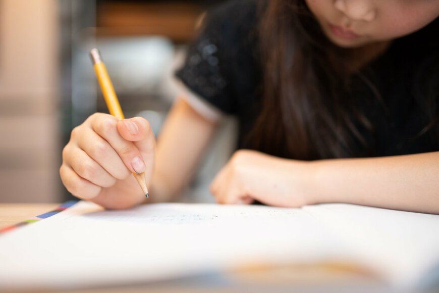 Hakase_420/shutterstock.com