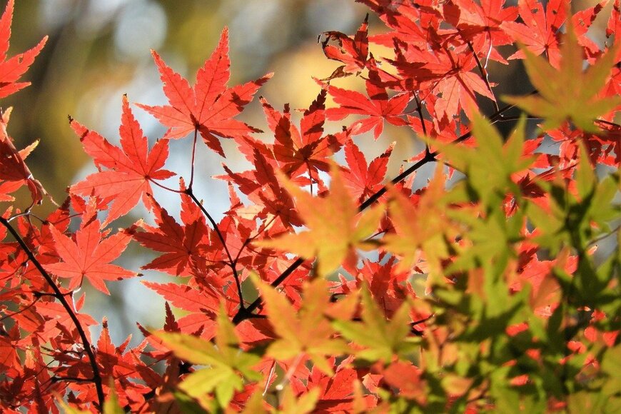 Hiro_photo_H/istockphoto.com