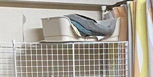 出所：@00shitemita