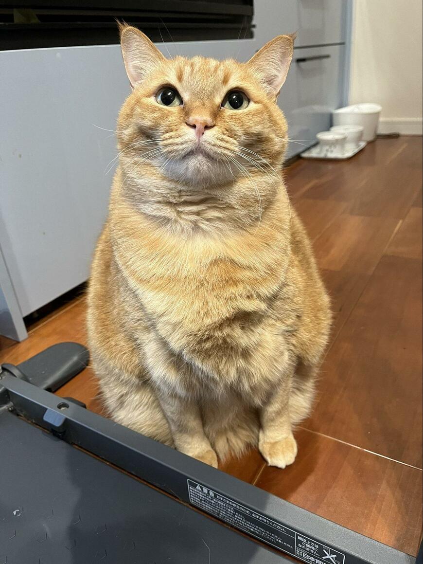 出所：@kagisuzu0531