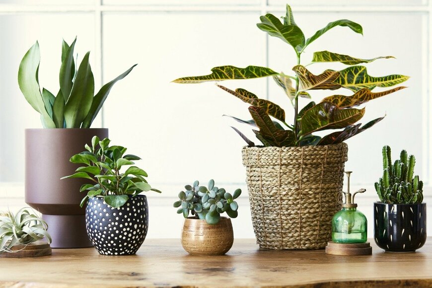 FollowTheFlow/istockphoto.com