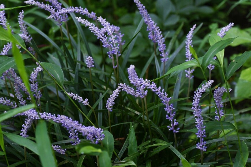 undefined undefined/istockphoto.com