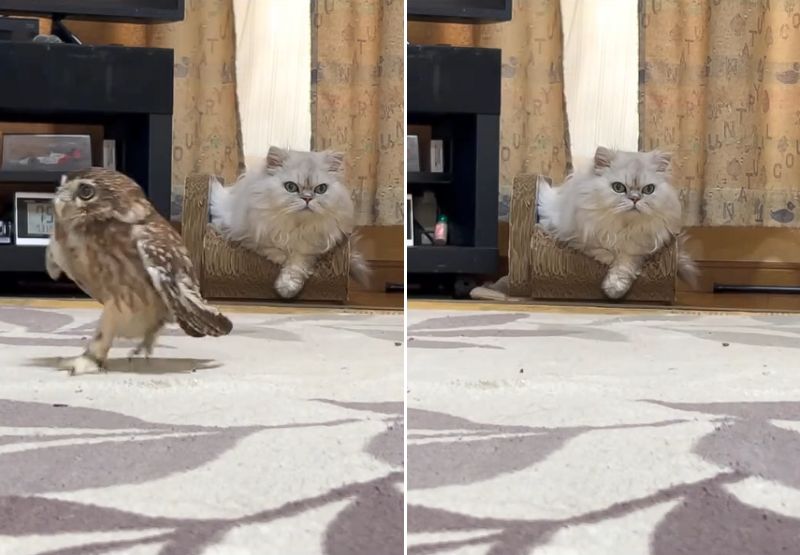 出所：@cr8673.hiro