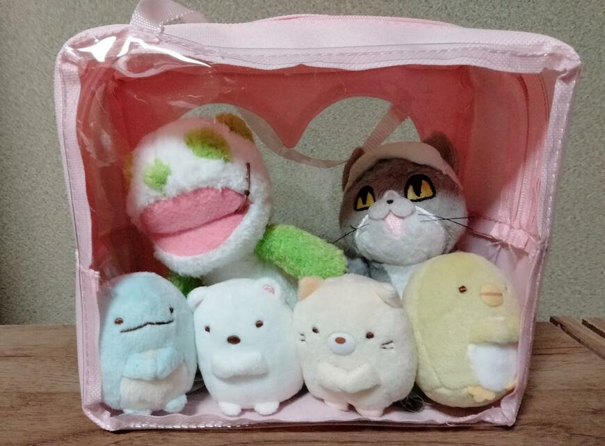 筆者撮影（セリア、ヲタコレ ぬいぐるみバッグ Lサイズ）