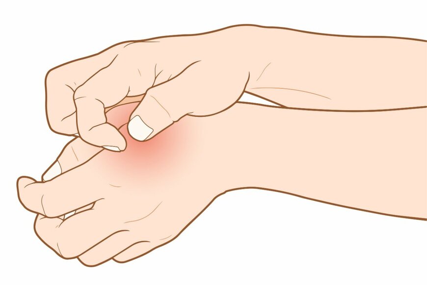 Emily frost/shutterstock.com