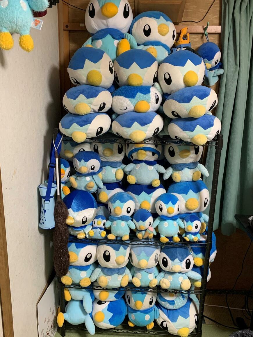 集められたポッチャマ