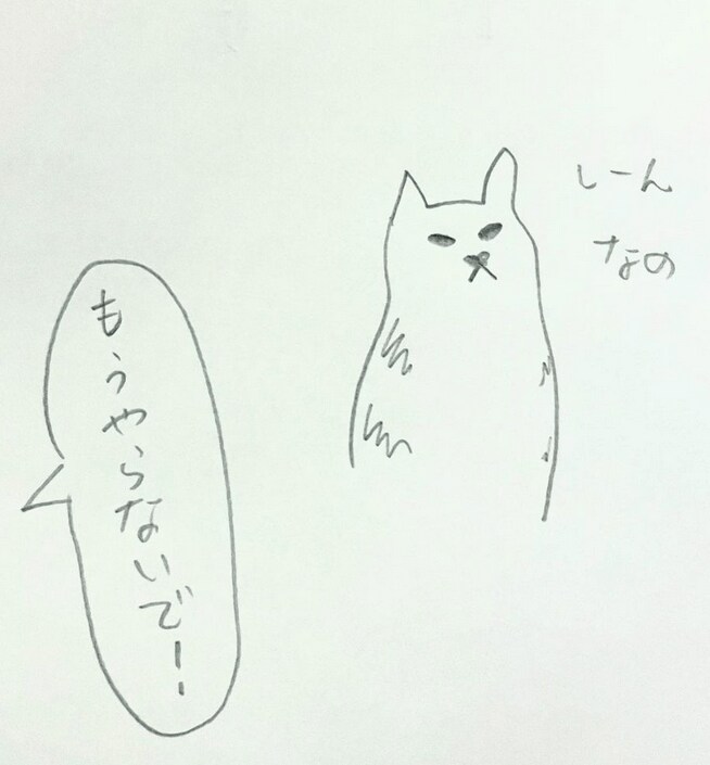 ロフト大好きな猫ちゃん