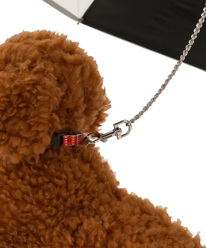 3COINS、お散歩傘商品画像